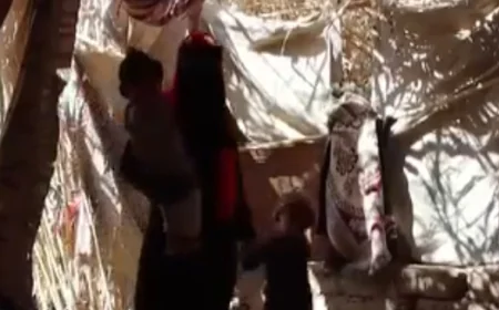مأساة الزواج المبكر للفتيات في مخيمات النازحين في اليمن