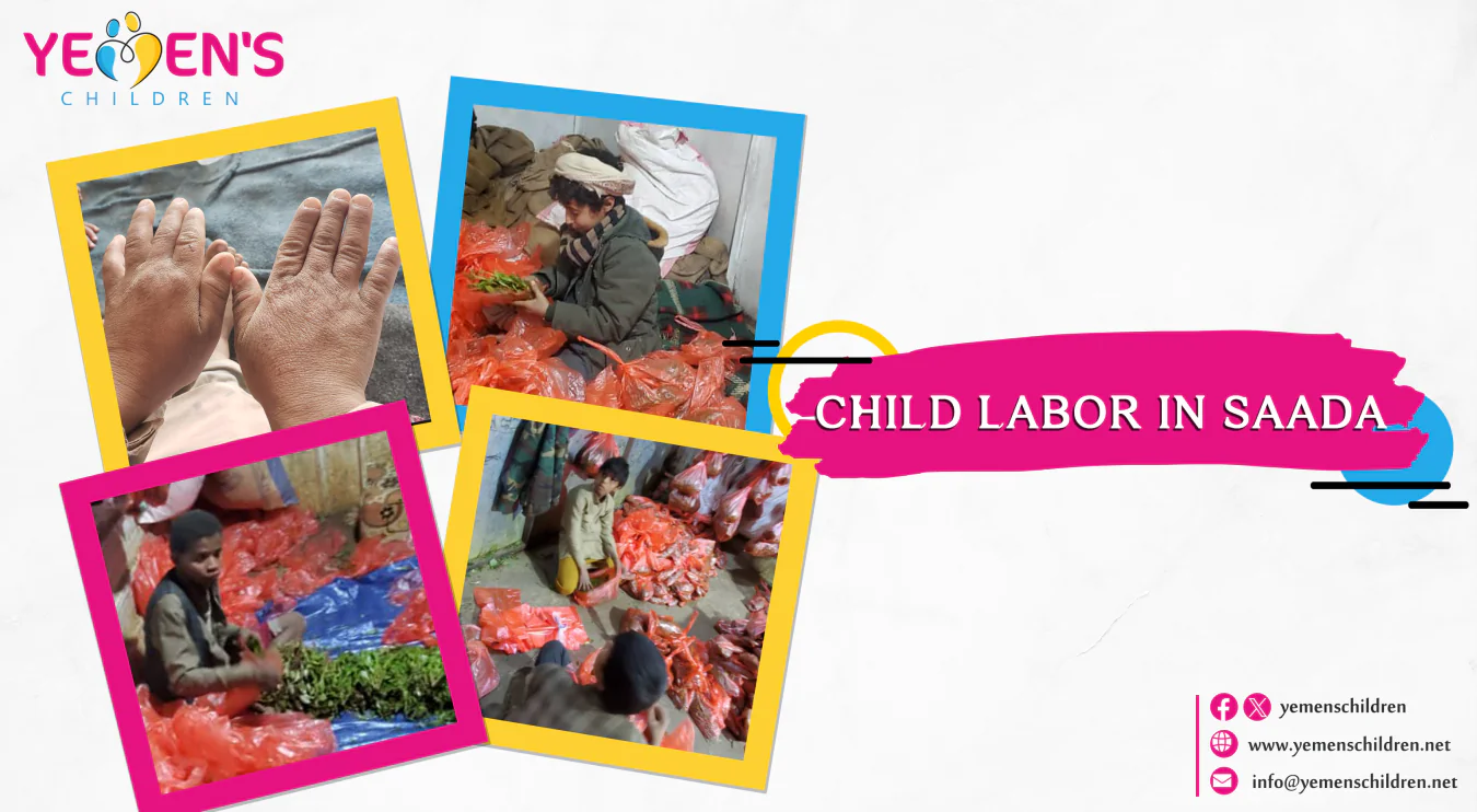 Child labor in Saada