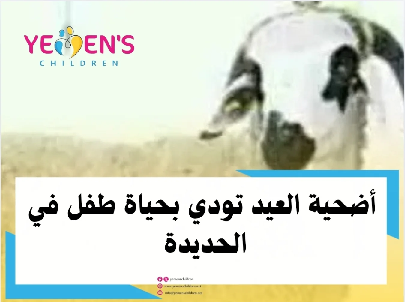 أضحية العيد تودي بحياة طفل في الحديدة