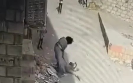 الأجهزة الأمنية في مأرب تلقي القبض على متهم بالاعتداء على طفل.