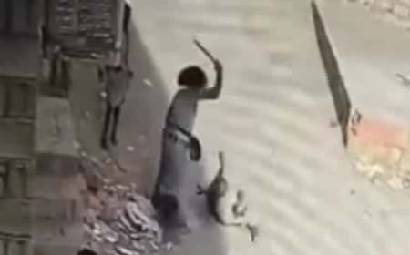 Security Forces in Marib Arrest Suspect in Child Assault Case