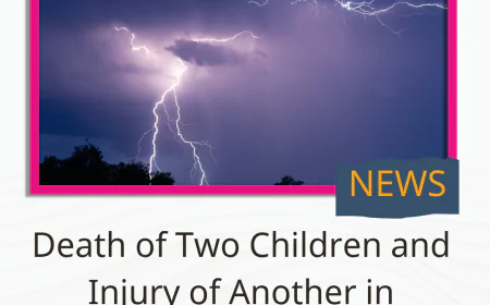 Death of Two Children and Injury of Another in Lightning Strike in Al-Dhalea