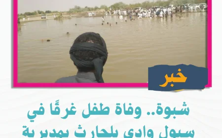 شبوة.. وفاة طفل غرقًا في سيول وادي بلحارث بمديرية عسيلان