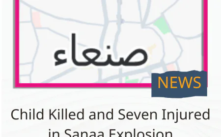 Child Killed and Seven Injured in Sanaa Explosion