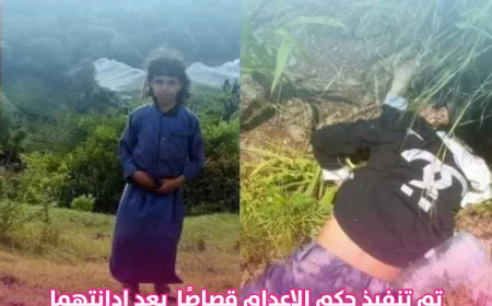 تنفيذ حكم القصاص في إب بحق قاتلي الطفل رعد الزنداني وشقيقته هنادي