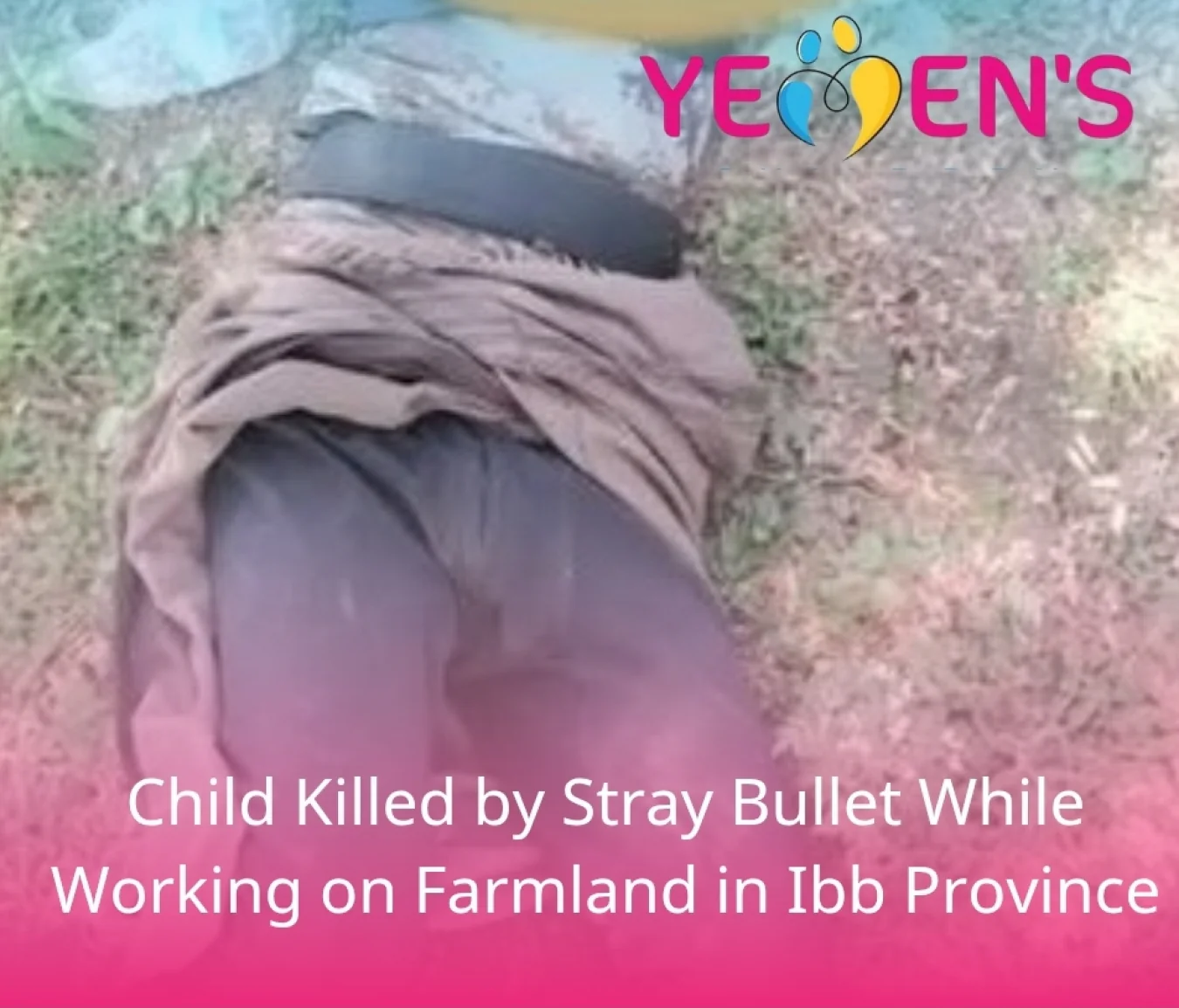 Child Killed by Stray Bullet While Working on Farmland in Ibb Province