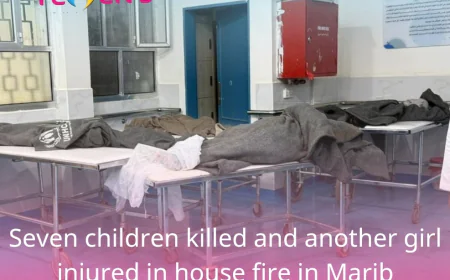 Seven children killed and another girl injured in house fire in Marib