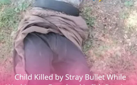 Child Killed by Stray Bullet While Working on Farmland in Ibb Province