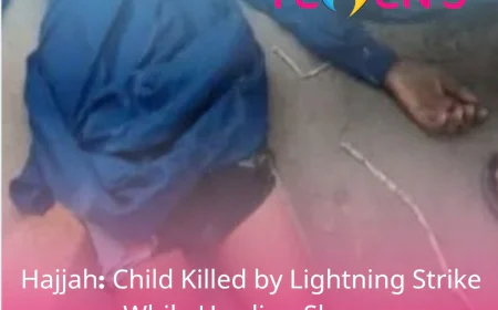 Hajjah: Child Killed by Lightning Strike While Herding Sheep