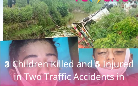 3 Children Killed and 5 Injured in Two Traffic Accidents in Raymah