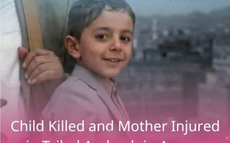 Child Killed and Mother Injured in Tribal Ambush in Amran