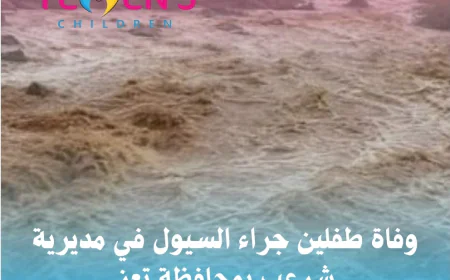 وفاة طفلين جراء السيول في مديرية شرعب بمحافظة تعز