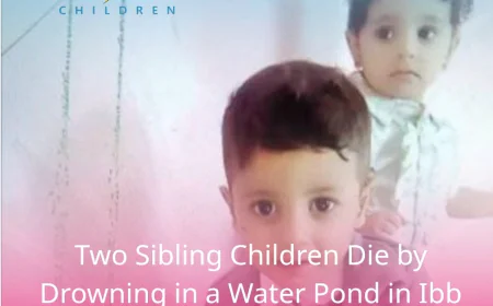 Two Sibling Children Die by Drowning in a Water Pond in Ibb Amid Heavy Rainfall