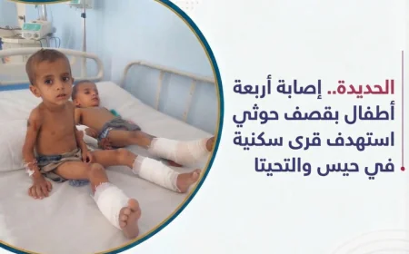 الحديدة.. إصابة أربعة أطفال بقصف حوثي استهدف قرى سكنية في حيس والتحيتا