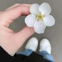سجى عبد المجيد شبانة